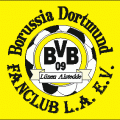 BvB